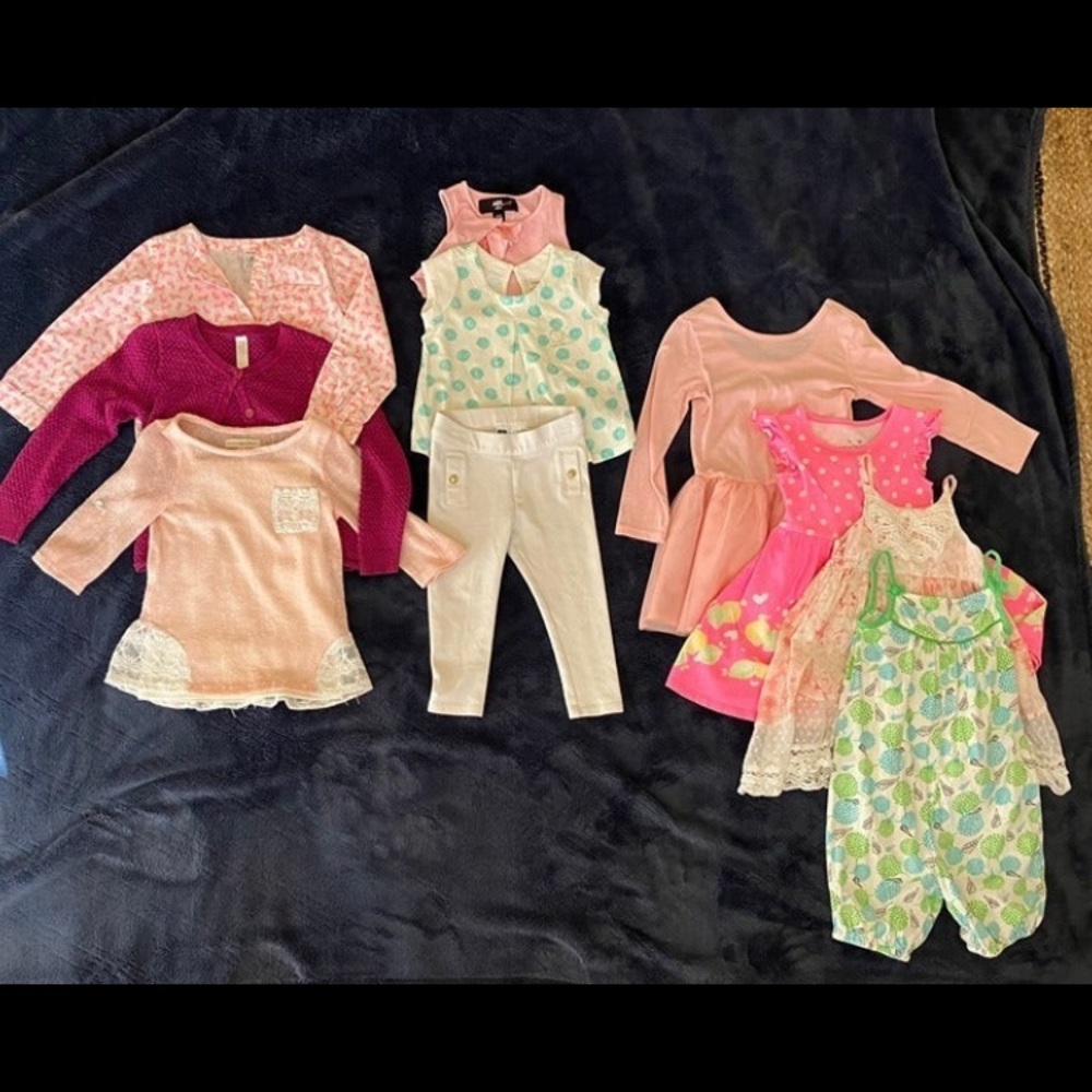 Lot of EUC toddler girls clothing 2T and 3T